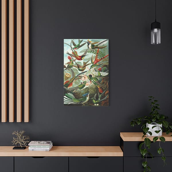 15588648005729729277_2048.jpeg Hummingbirds (Trochilidae), Kunstformen der Natur – Ernst Haeckel (1904) – Natural History Canvas Print