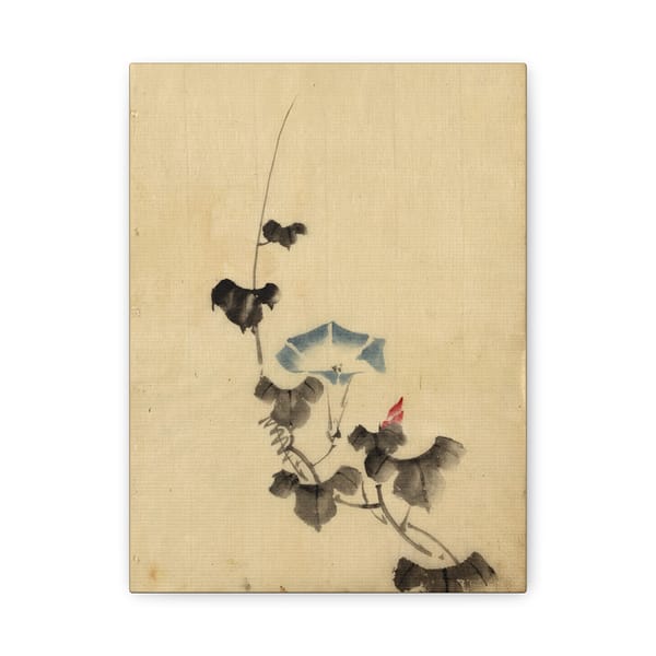 1564926870663594350_2048.jpeg Blue Blossom of Morning Glory on Vine - Katsushika Hokusai (1830) - Japanese Woodblock Canvas Print