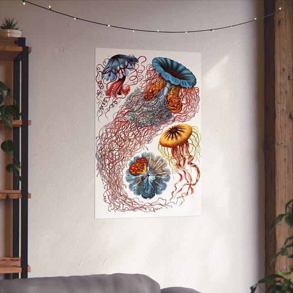 15686968804301517055_2048.jpeg Jellyfish (Discomedusae), Kunstformen der Natur – Ernst Haeckel (1904) – Natural History Poster Print