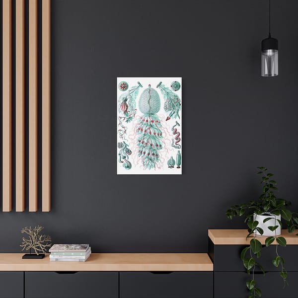 15704004395734592805_2048.jpeg Siphonophorae, Kunstformen der Natur, plate 59 – Ernst Haeckel (1904) – Natural History Canvas Print