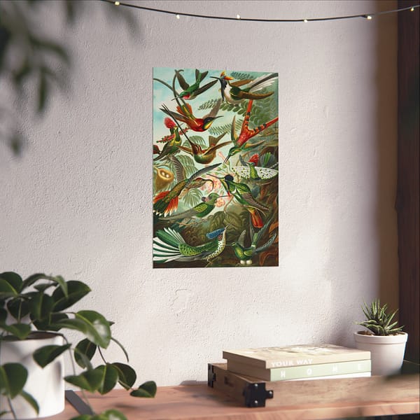 15730292010151415785_2048.jpeg Hummingbirds (Trochilidae), Kunstformen der Natur – Ernst Haeckel (1904) – Natural History Poster Print
