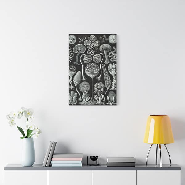 15870929380244095157_2048.jpeg Mycetozoa, Kunstformen der Natur, plate 93 – Ernst Haeckel (1904) – Natural History Canvas Print