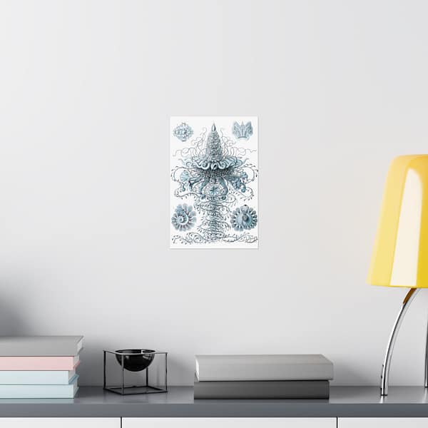 1601752900634488093_2048.jpeg Siphonophorae, Kunstformen der Natur, plate 37 – Ernst Haeckel (1904) – Natural History Poster Print