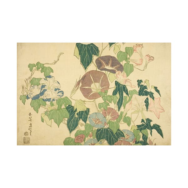 16123180167275581163_2048.jpeg Morning Glories and Tree Frog - Katsushika Hokusai (c. 1833-34) - Japanese Woodblock Poster Print