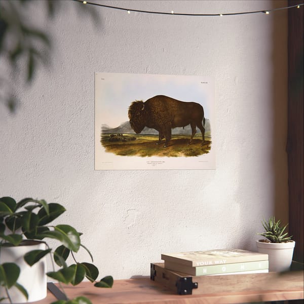 16282486721287988974_2048.jpeg Bos Americanus, American Bison or Buffalo, plate 56 – John James Audubon (1845) – Natural History Poster Print