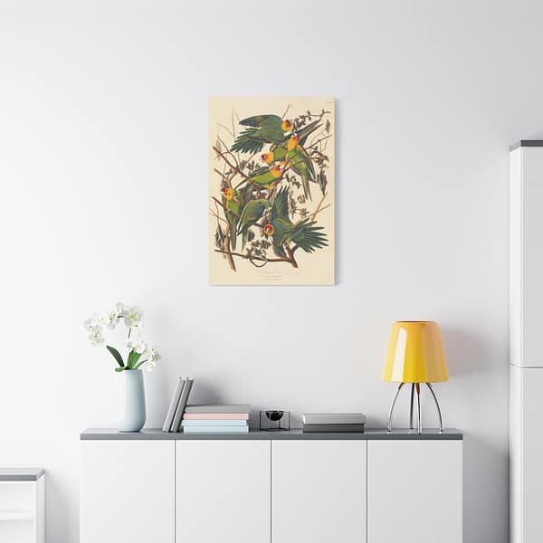 16372176750487809298_2048.jpeg Carolina Parakeet, Birds of America – John James Audubon (1828) – Natural History Canvas Print