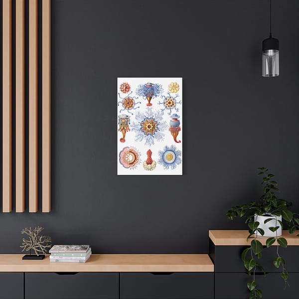 16525679072555986319_2048.jpeg Siphonophorae, Kunstformen der Natur, plate 17 – Ernst Haeckel (1904) – Natural History Canvas Print
