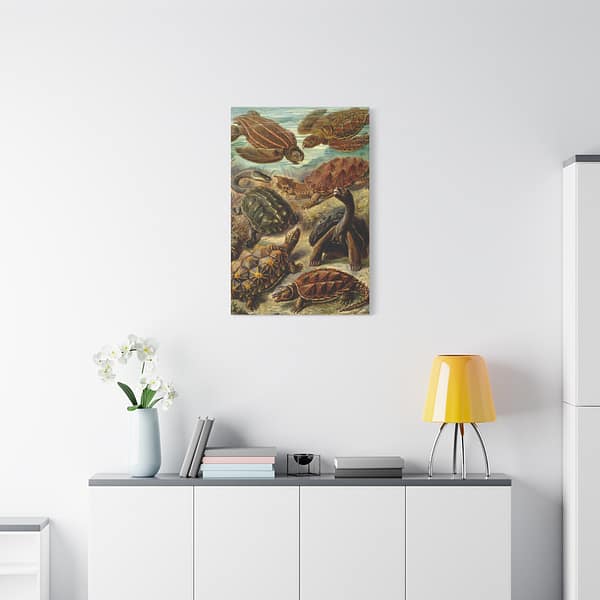 16783266260015257622_2048.jpeg Sea Turtles & Tortoises (Chelonia), Kunstformen der Natur – Ernst Haeckel (1904) – Natural History Canvas Print