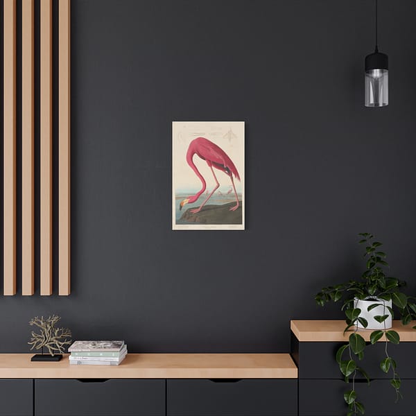 16932543361569938439_2048.jpeg American Flamingo, Birds of America – John James Audubon (1838) – Natural History Canvas Print