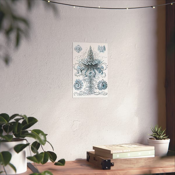 17202848632480037084_2048.jpeg Siphonophorae, Kunstformen der Natur, plate 37 – Ernst Haeckel (1904) – Natural History Poster Print
