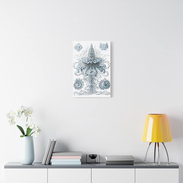 17262360174696055924_2048.jpeg Siphonophorae, Kunstformen der Natur, plate 37 – Ernst Haeckel (1904) – Natural History Canvas Print
