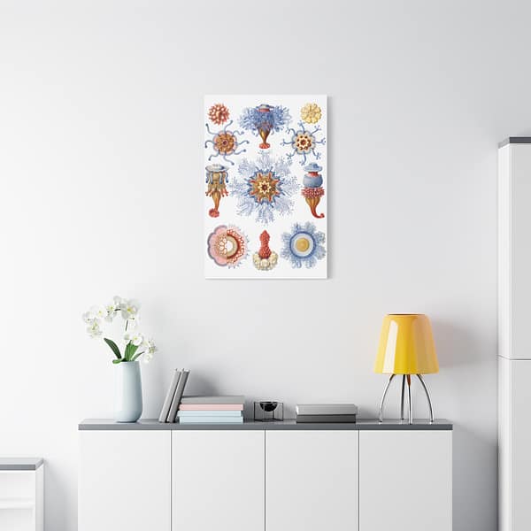 17271937388155345907_2048.jpeg Siphonophorae, Kunstformen der Natur, plate 17 – Ernst Haeckel (1904) – Natural History Canvas Print
