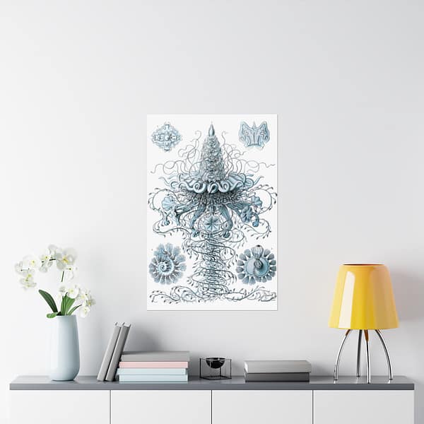 17353984466107517525_2048.jpeg Siphonophorae, Kunstformen der Natur, plate 37 – Ernst Haeckel (1904) – Natural History Poster Print