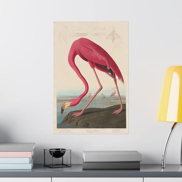 1739650445065061175_2048.jpeg American Flamingo, Birds of America – John James Audubon (1838) – Natural History Poster Print