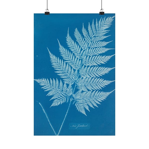 17406220321138184513_2048.jpeg New Zealand Fern Cyanotype – Anna Atkins (c. 1853-54) – Botanical Poster Print