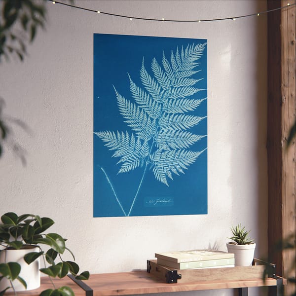 17697344865342524599_2048.jpeg New Zealand Fern Cyanotype – Anna Atkins (c. 1853-54) – Botanical Poster Print