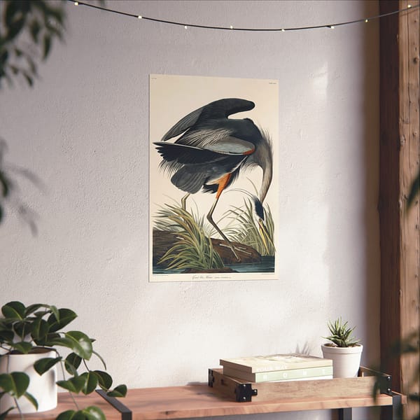 17850807952872346650_2048.jpeg Great Blue Heron, Birds of America – John James Audubon (1834) – Natural History Poster Print