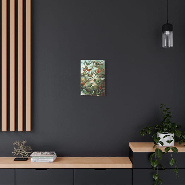1850359457872036719_2048.jpeg Hummingbirds (Trochilidae), Kunstformen der Natur – Ernst Haeckel (1904) – Natural History Canvas Print