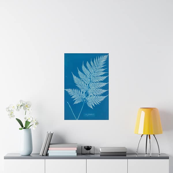 2599439251775098280_2048.jpeg New Zealand Fern Cyanotype – Anna Atkins (c. 1853-54) – Botanical Poster Print