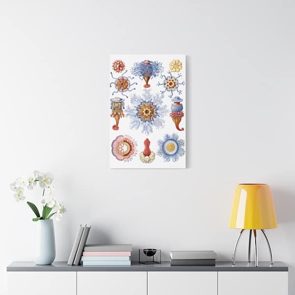 2663184324419811313_2048.jpeg Siphonophorae, Kunstformen der Natur, plate 17 – Ernst Haeckel (1904) – Natural History Canvas Print
