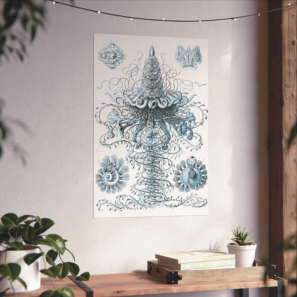 2812096288591646171_2048.jpeg Siphonophorae, Kunstformen der Natur, plate 37 – Ernst Haeckel (1904) – Natural History Poster Print