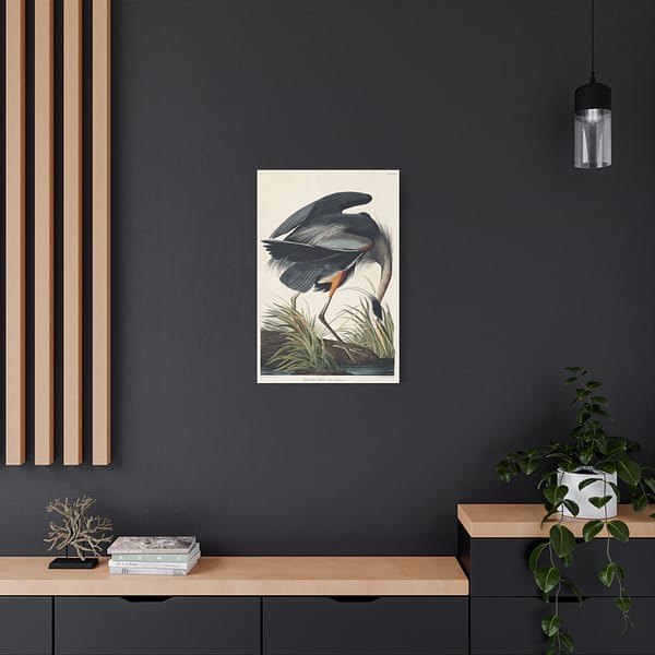 3339056175508017303_2048.jpeg Great Blue Heron, Birds of America – John James Audubon (1834) – Natural History Canvas Print