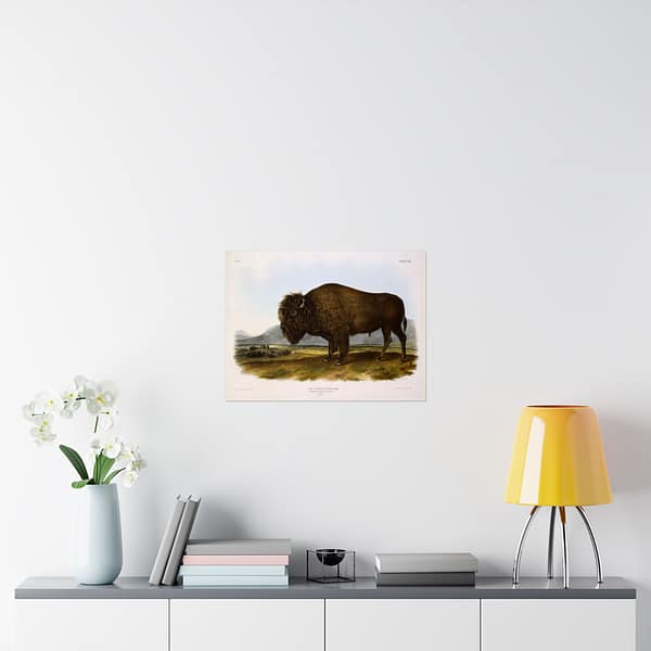3571968380303872282_2048.jpeg Bos Americanus, American Bison or Buffalo, plate 56 – John James Audubon (1845) – Natural History Poster Print