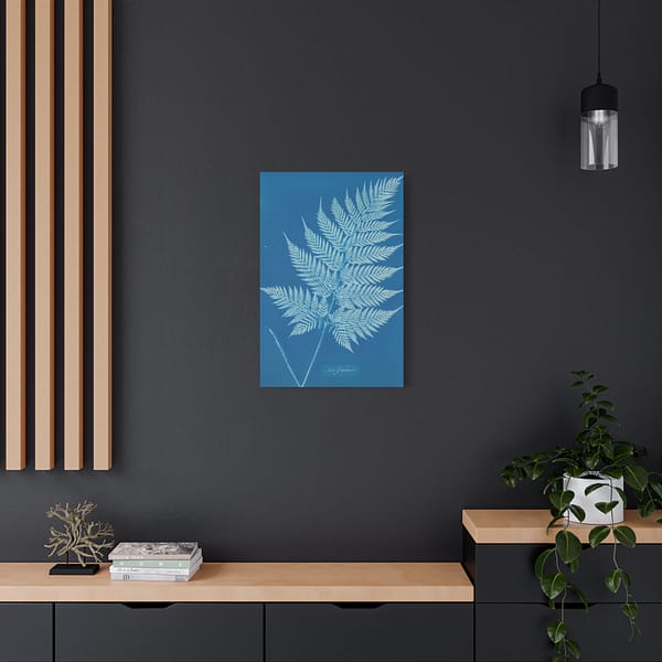 3656563843695372399_2048.jpeg New Zealand Fern Cyanotype – Anna Atkins (c. 1853-54) – Botanical Canvas Print