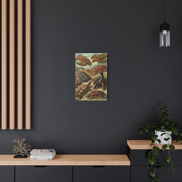 3715104342760567899_2048.jpeg Sea Turtles & Tortoises (Chelonia), Kunstformen der Natur – Ernst Haeckel (1904) – Natural History Canvas Print