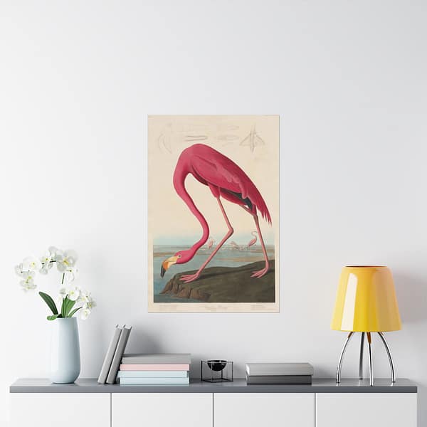 385537311977165885_2048.jpeg American Flamingo, Birds of America – John James Audubon (1838) – Natural History Poster Print