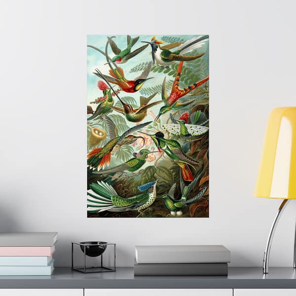 3874193991483744695_2048.jpeg Hummingbirds (Trochilidae), Kunstformen der Natur – Ernst Haeckel (1904) – Natural History Poster Print