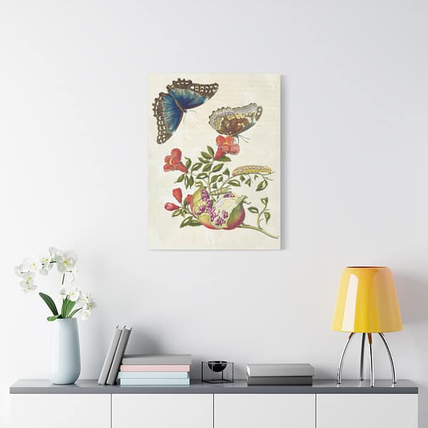 4210101266812251069_2048.jpeg Metamorphosis Insectorum Surinamensium, plate 9 – Maria Sibylla Merian (1705) – Natural History Canvas Print