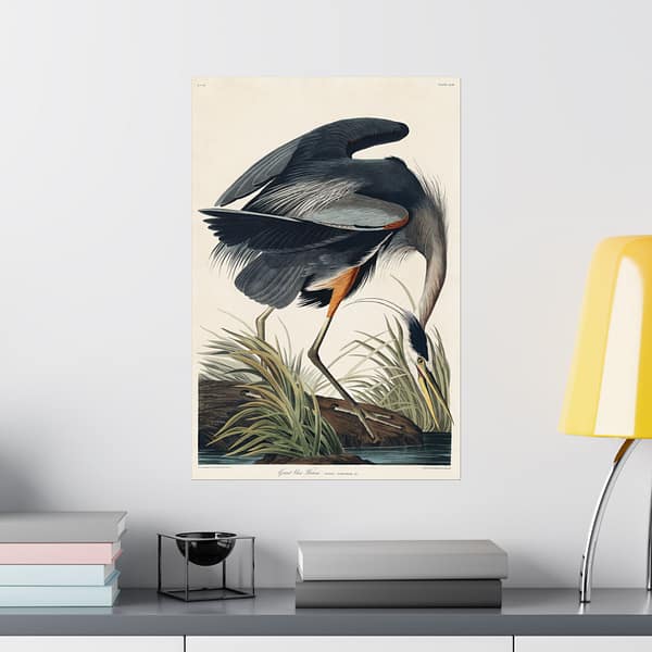 4269650063340230779_2048.jpeg Great Blue Heron, Birds of America – John James Audubon (1834) – Natural History Poster Print