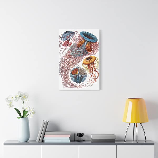 4480470202521616962_2048.jpeg Jellyfish (Discomedusae), Kunstformen der Natur – Ernst Haeckel (1904) – Natural History Canvas Print