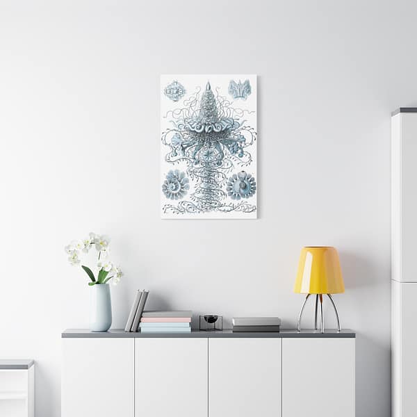 448573443652997678_2048-1.jpeg Siphonophorae, Kunstformen der Natur, plate 37 – Ernst Haeckel (1904) – Natural History Canvas Print