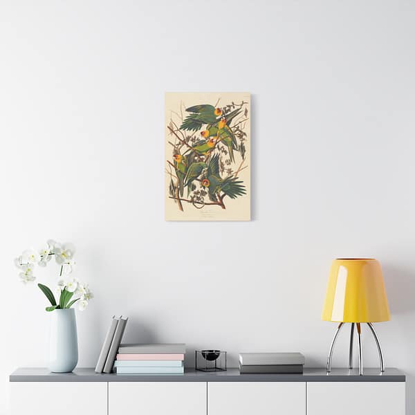 4565742471413835083_2048.jpeg Carolina Parakeet, Birds of America – John James Audubon (1828) – Natural History Canvas Print