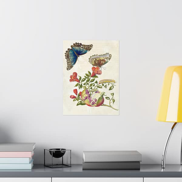 4566521867164509902_2048.jpeg Metamorphosis Insectorum Surinamensium, plate 9 – Maria Sibylla Merian (1705) – Natural History Poster Print