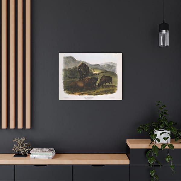 4586653354481759108_2048.jpeg Bos Americanus, American Bison or Buffalo, plate 57 – John James Audubon (1845) – Natural History Canvas Print