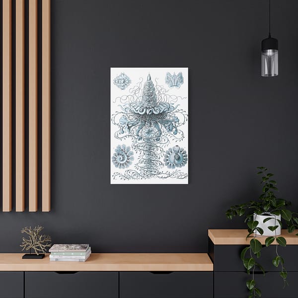 4651455118846833878_2048-1.jpeg Siphonophorae, Kunstformen der Natur, plate 37 – Ernst Haeckel (1904) – Natural History Canvas Print