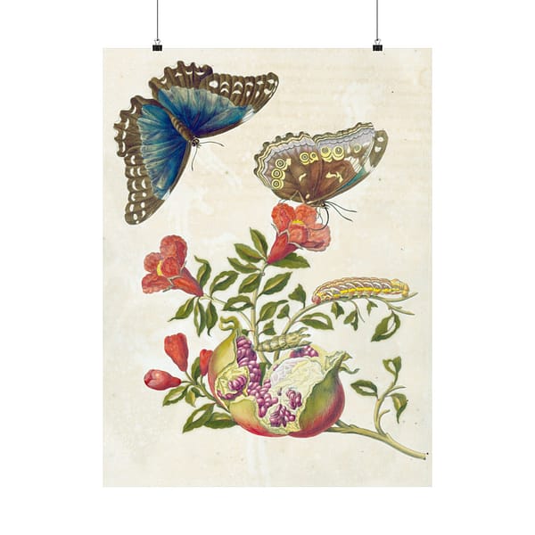 4713109880294950008_2048.jpeg Metamorphosis Insectorum Surinamensium, plate 9 – Maria Sibylla Merian (1705) – Natural History Poster Print