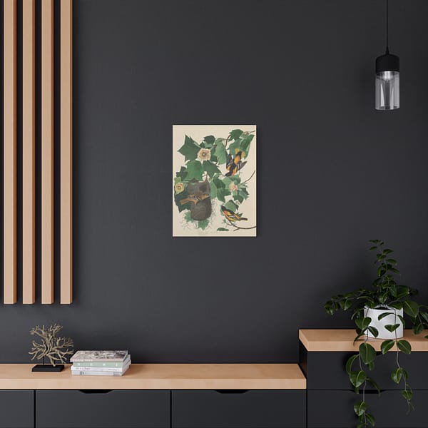 4760520897120672081_2048.jpeg Baltimore Oriole, Birds of America – John James Audubon (1827) – Natural History Canvas Print