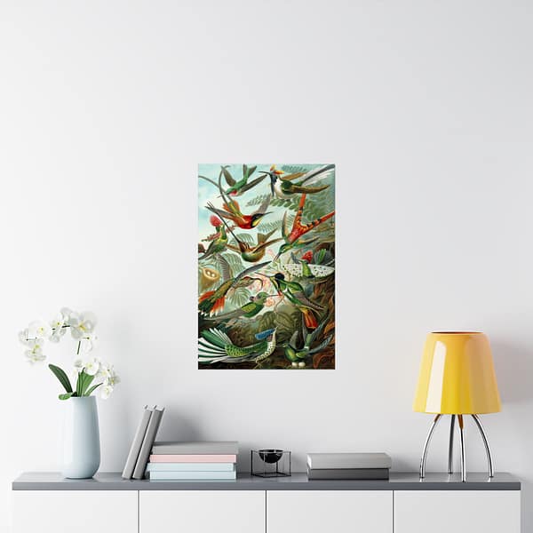 4768362759232453066_2048.jpeg Hummingbirds (Trochilidae), Kunstformen der Natur – Ernst Haeckel (1904) – Natural History Poster Print