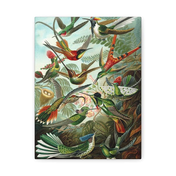 4910427039727899883_2048.jpeg Hummingbirds (Trochilidae), Kunstformen der Natur – Ernst Haeckel (1904) – Natural History Canvas Print