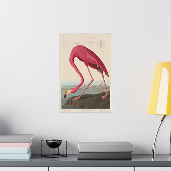 4934623447620045722_2048.jpeg American Flamingo, Birds of America – John James Audubon (1838) – Natural History Poster Print