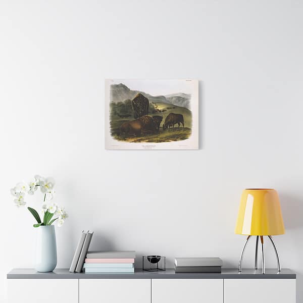 501726461813753424_2048.jpeg Bos Americanus, American Bison or Buffalo, plate 57 – John James Audubon (1845) – Natural History Canvas Print