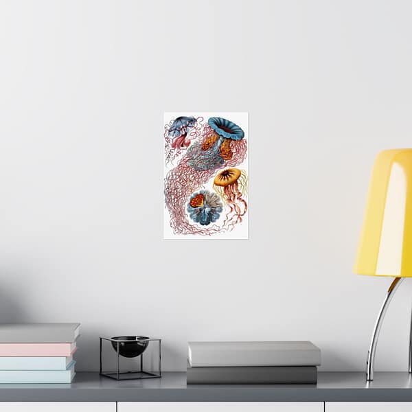 5037868021684619624_2048.jpeg Jellyfish (Discomedusae), Kunstformen der Natur – Ernst Haeckel (1904) – Natural History Poster Print