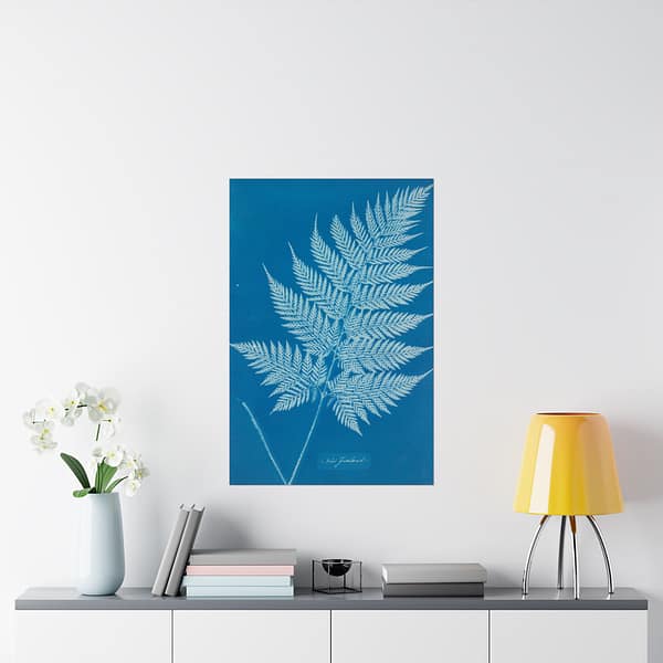 5560699385251510864_2048.jpeg New Zealand Fern Cyanotype – Anna Atkins (c. 1853-54) – Botanical Poster Print
