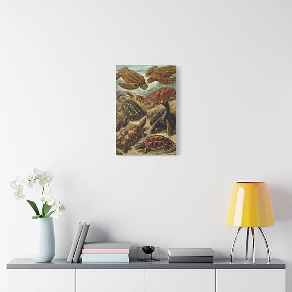 5826243328678819700_2048.jpeg Sea Turtles & Tortoises (Chelonia), Kunstformen der Natur – Ernst Haeckel (1904) – Natural History Canvas Print