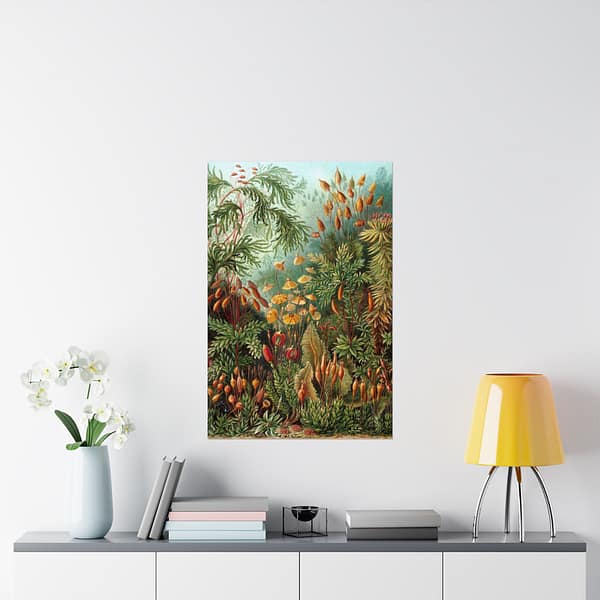 591396976336734958_2048.jpeg Mosses (Muscinae), Kunstformen der Natur – Ernst Haeckel (1904) – Botanical Poster Print