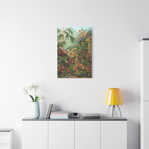 6451482166605319582_2048.jpeg Mosses (Muscinae), Kunstformen der Natur – Ernst Haeckel (1904) – Botanical Canvas Print